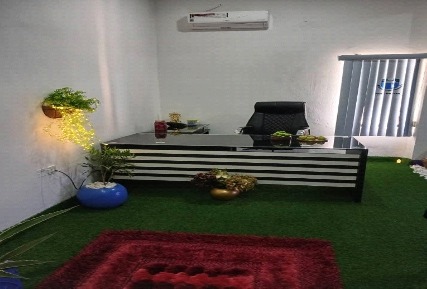 An indoor garden area with a green floor covering.