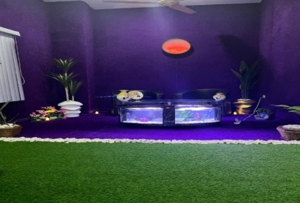 Another view of an indoor planting display in an office.