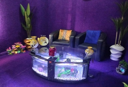 Indoor planting and a display in a purple-painted room.