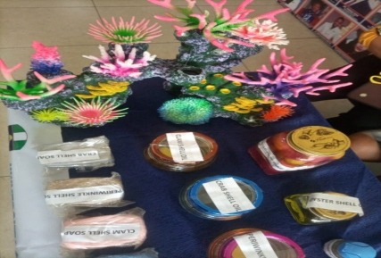 Another view of a table displaying nature-based products.